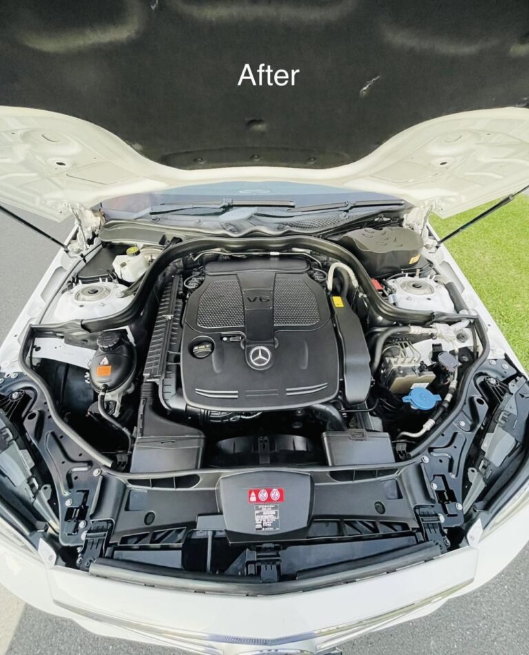 Engine Bay Detail
